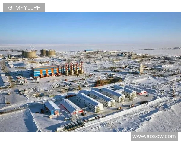 亚马尔地区的能源战略与全球市场的深度互动分析